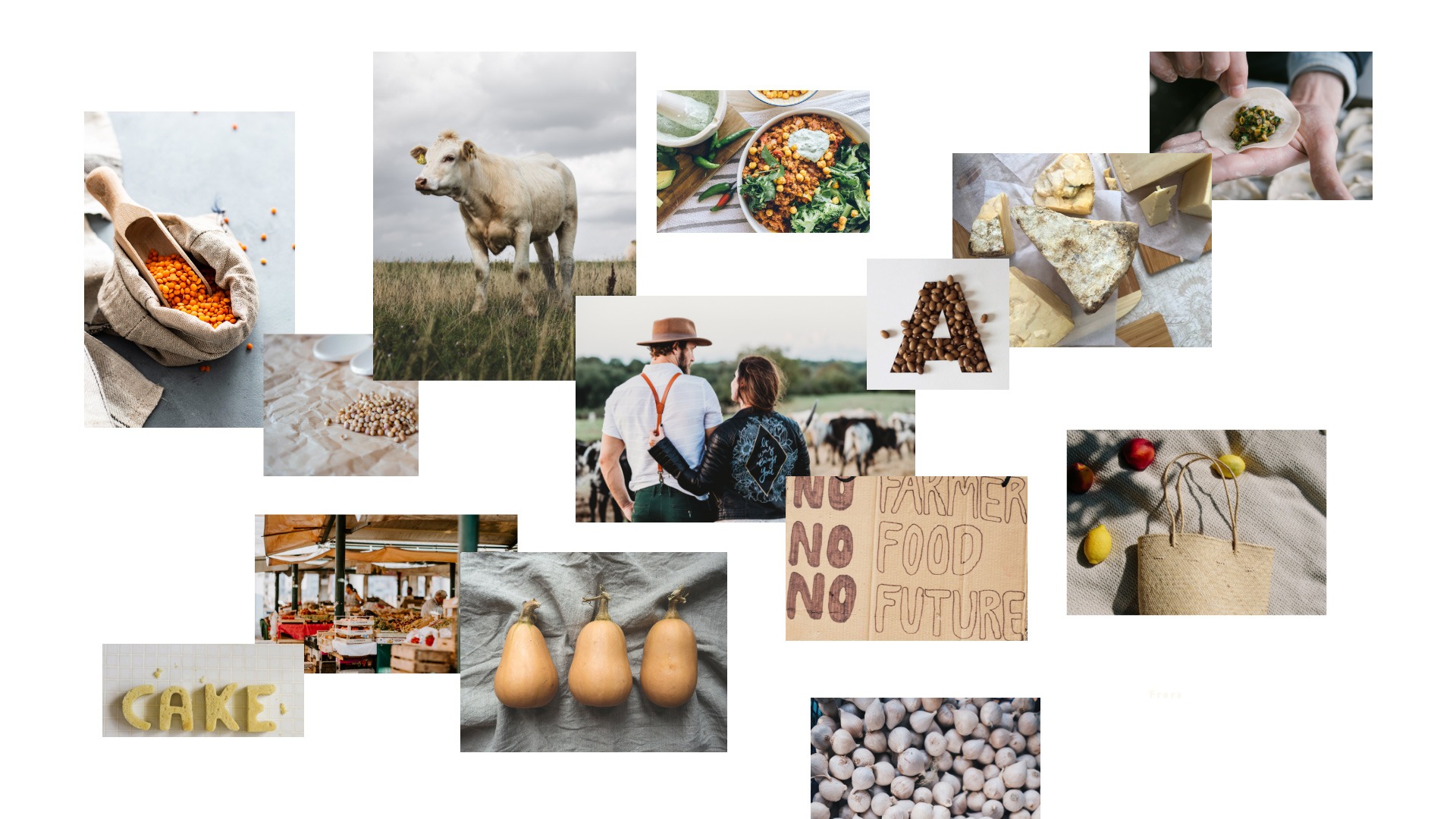 Bable | Caso de estudio UX | Branding, moodboard para la creación de la identidad visual